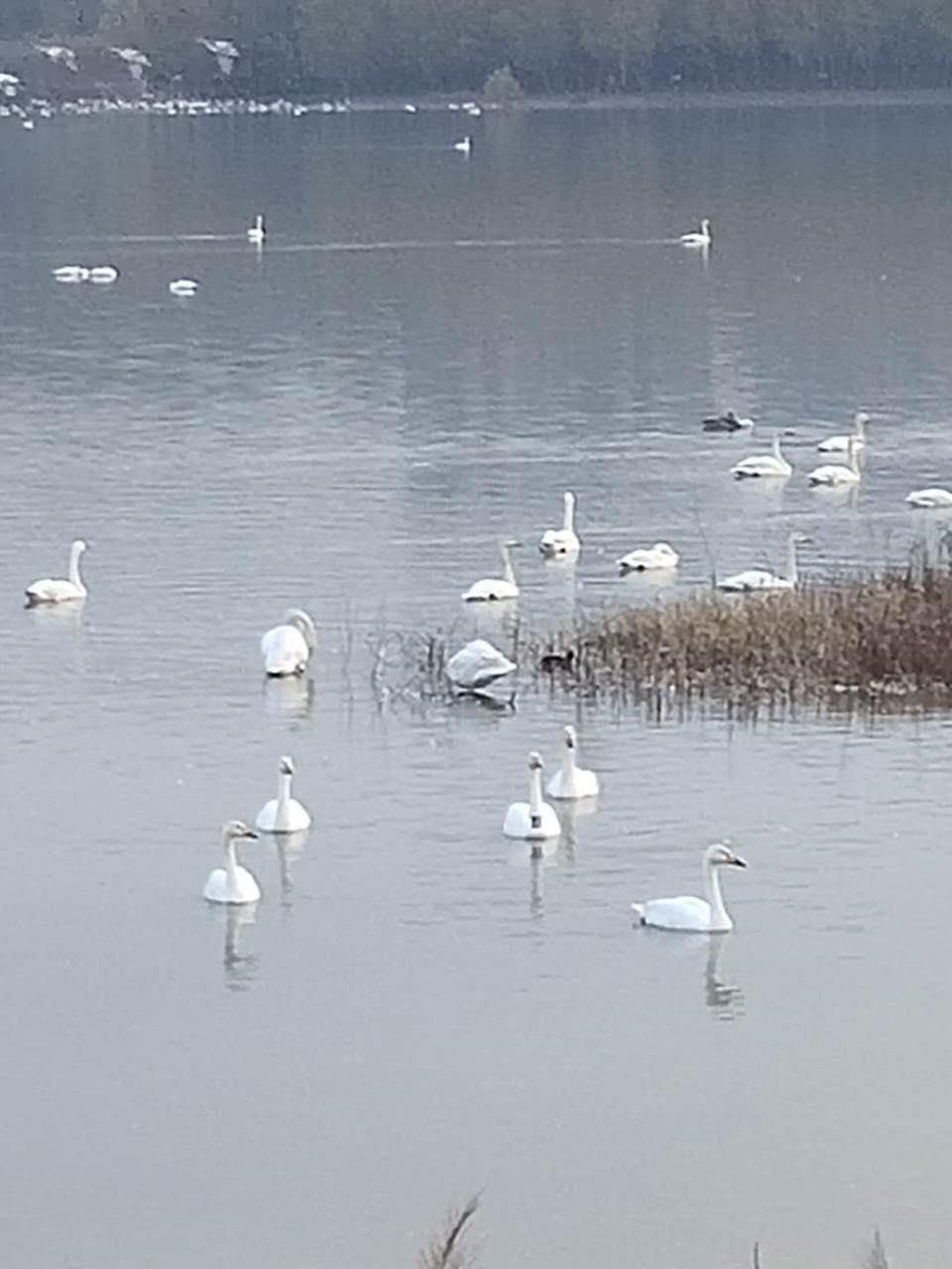 GLcqVaBvRFPhGPDFfecWT9AOZ1cNU5ZAbc4LCQV7kRdatZhw7uJvx6-wdEkO-Lg_