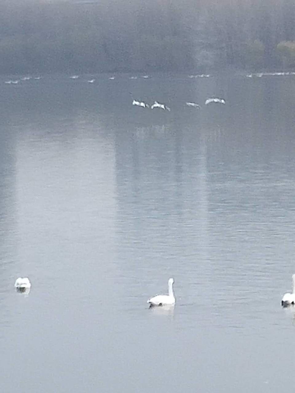 yvQSXtyNnKfkLCa_9qiDgQqczXL9-2zXdMofqf_FmSkD8DL8aBpxzxLGqL19RyEY