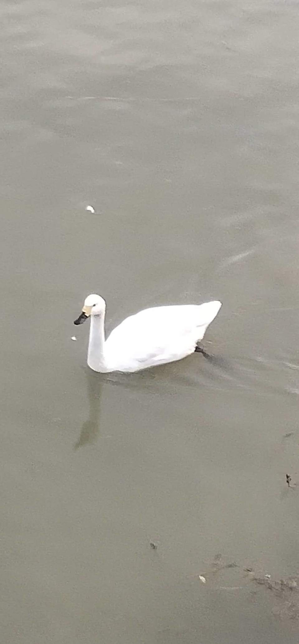 Ltku8gDPV5oSgt3MvQ6jOZb3k-_jb-WjLxFMcMLqklhiCuOWpsyQS9NjMURDVdPy