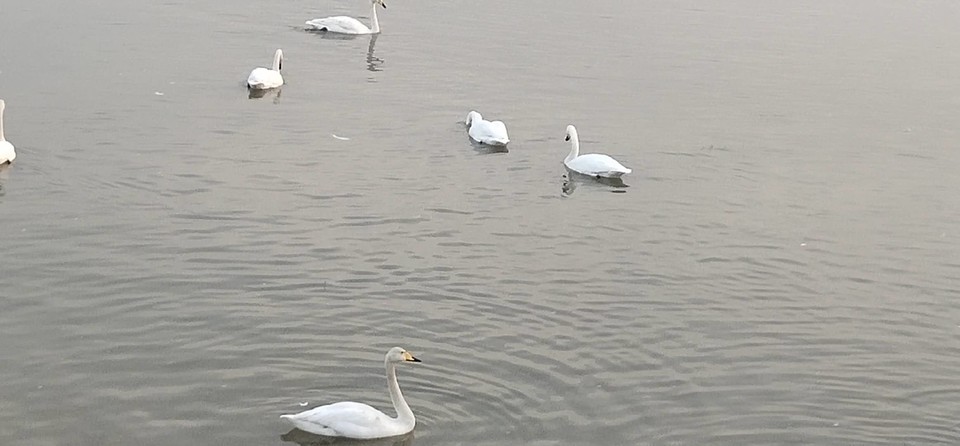 8GaQx7-pR5Iw_nMQwD2s7GBPqs6_eTKy3thOTKpPS0NmDMnxRjJq0uHQGS_1E9h3