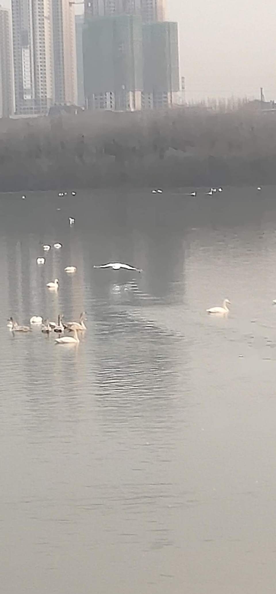 sbIR_Cni71fyXQGofr49VZqLRVI7XFKqxAaLqvIoxySnEKgepe2jKIqrlnhbG6yd