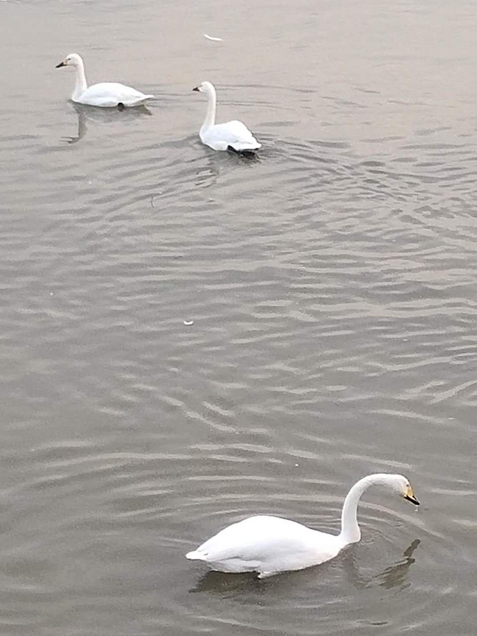 9LvIx2aSqRdMBWXRvmlldgShLEfeS6nAzcjU8xLD91B-QcE_NZRf9emK8a5DWKYN