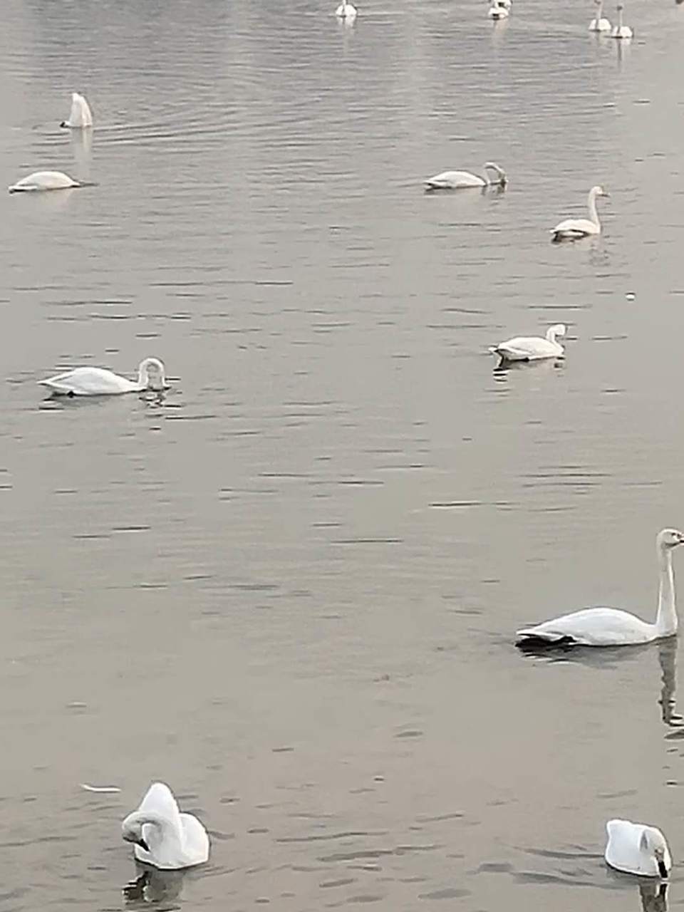 92tCmAAjpQcDprKu86ZSEE0AX2jGXxSmktqMCeu5uKTzdrO1-Fnwc96f9QqG7OGS