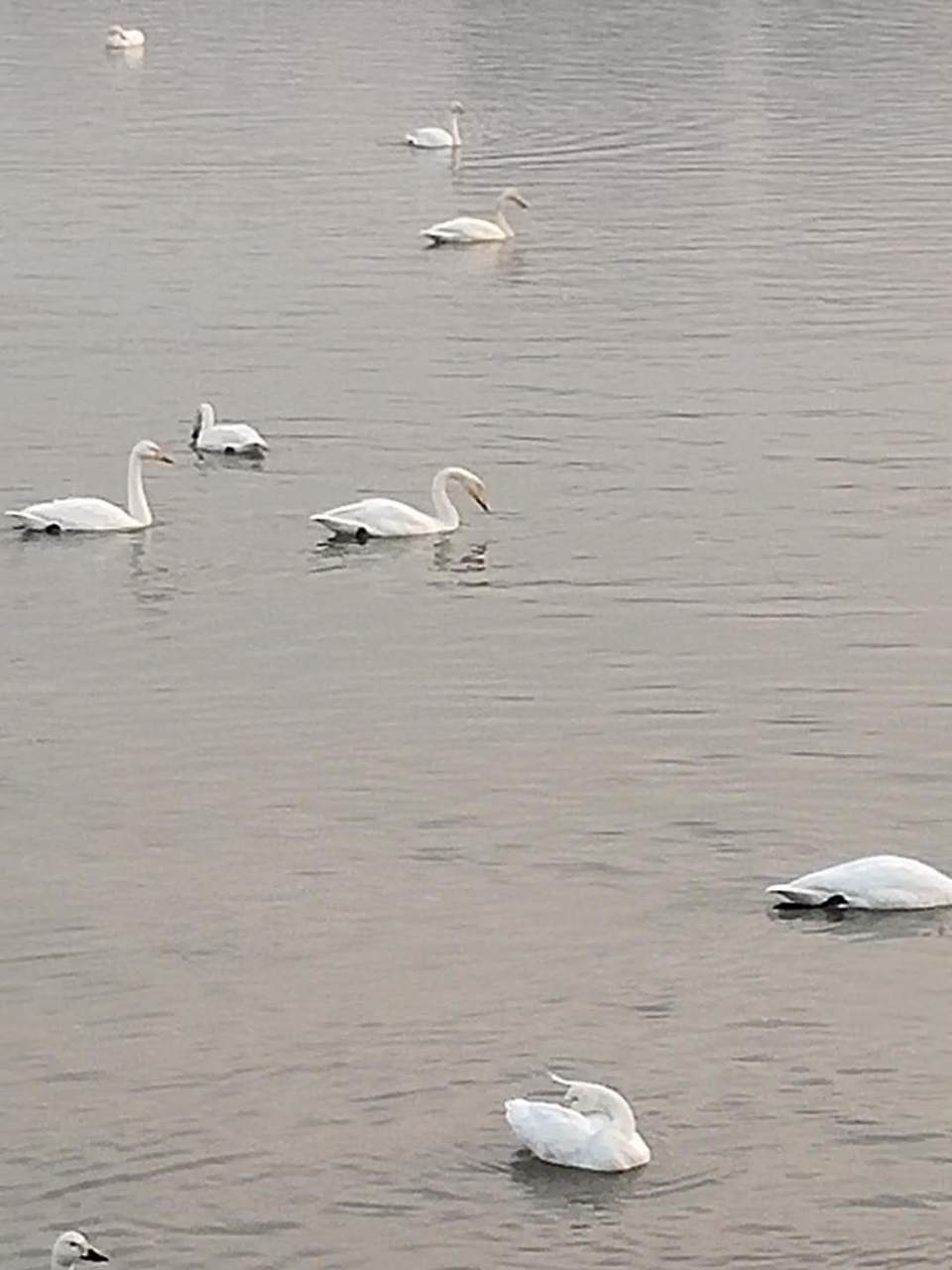 -yafyf4pQI5eC3mfyxIw2fdLdjEp8O-DvWrEvb2d23Gjufm26_2YuMl7HeI2tQri