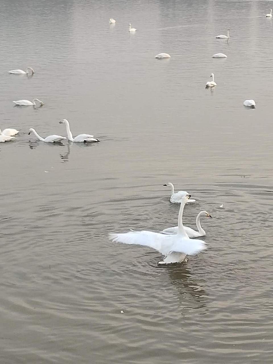 mIwuGpBVmSdv7eW6eiILwHO7FilslnvNAC7l0lkCij2cDr00vfB8BWER6avVsvtf