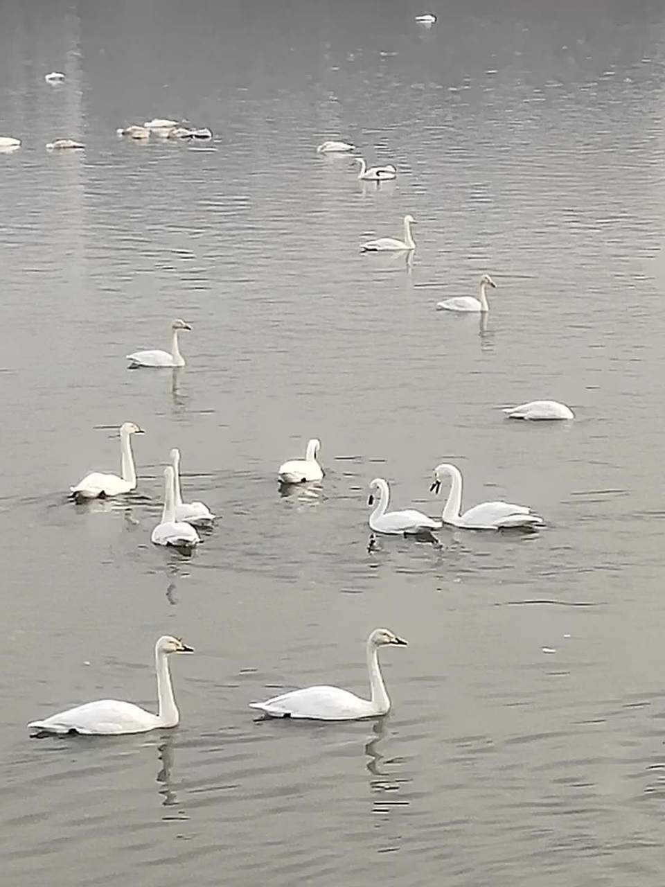 u_1_21rCK5UdCi16z5NLFksLtaBrDGDQxX5dsar8hja9reiX4BtROfYBW4oehecZ