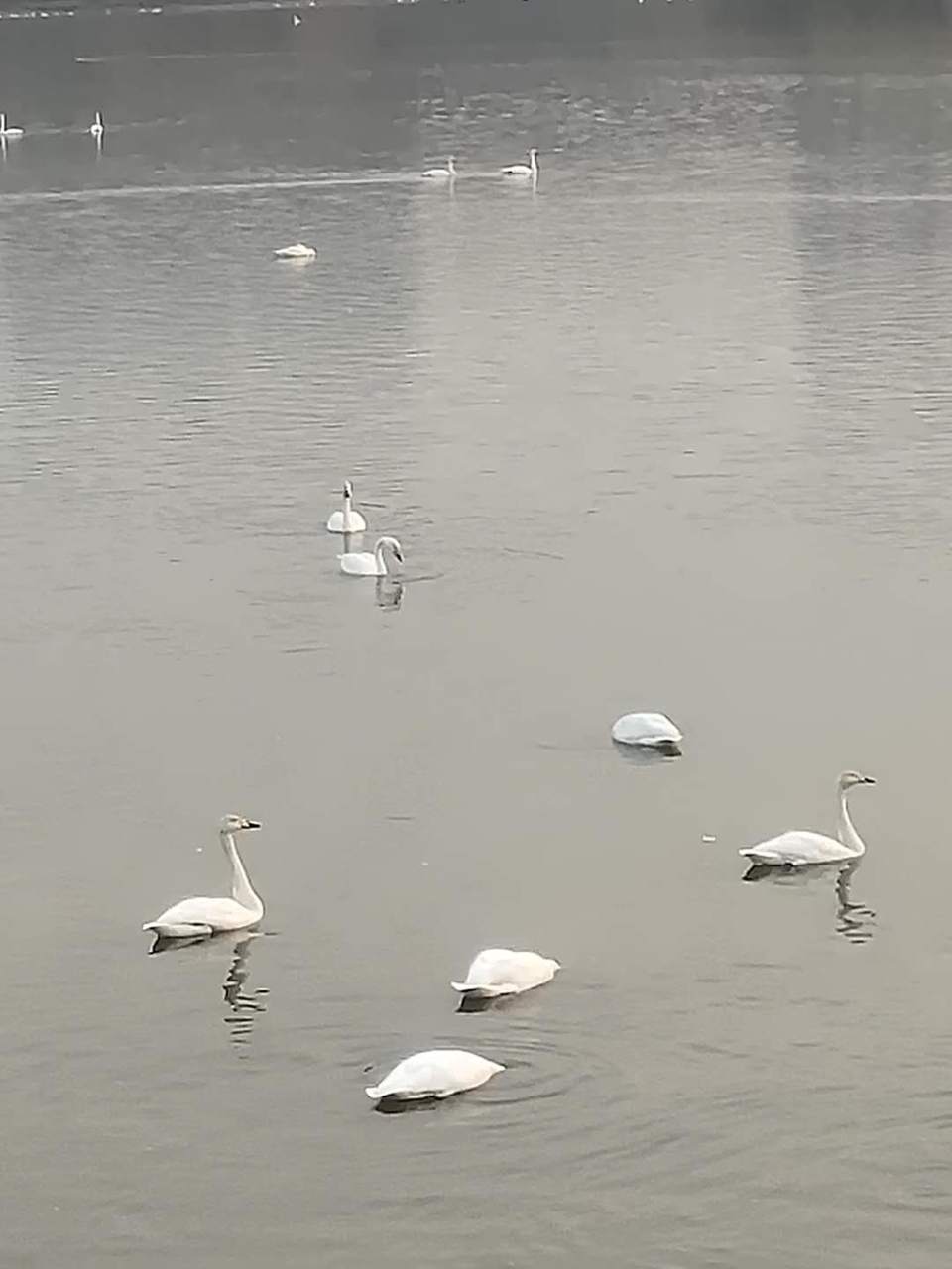 wRsqoLmMm6Ry4qu2NF9gTNe46NIXeiG6LHRC6nHSoR631v-xhjKs0MgWwkubj2-A