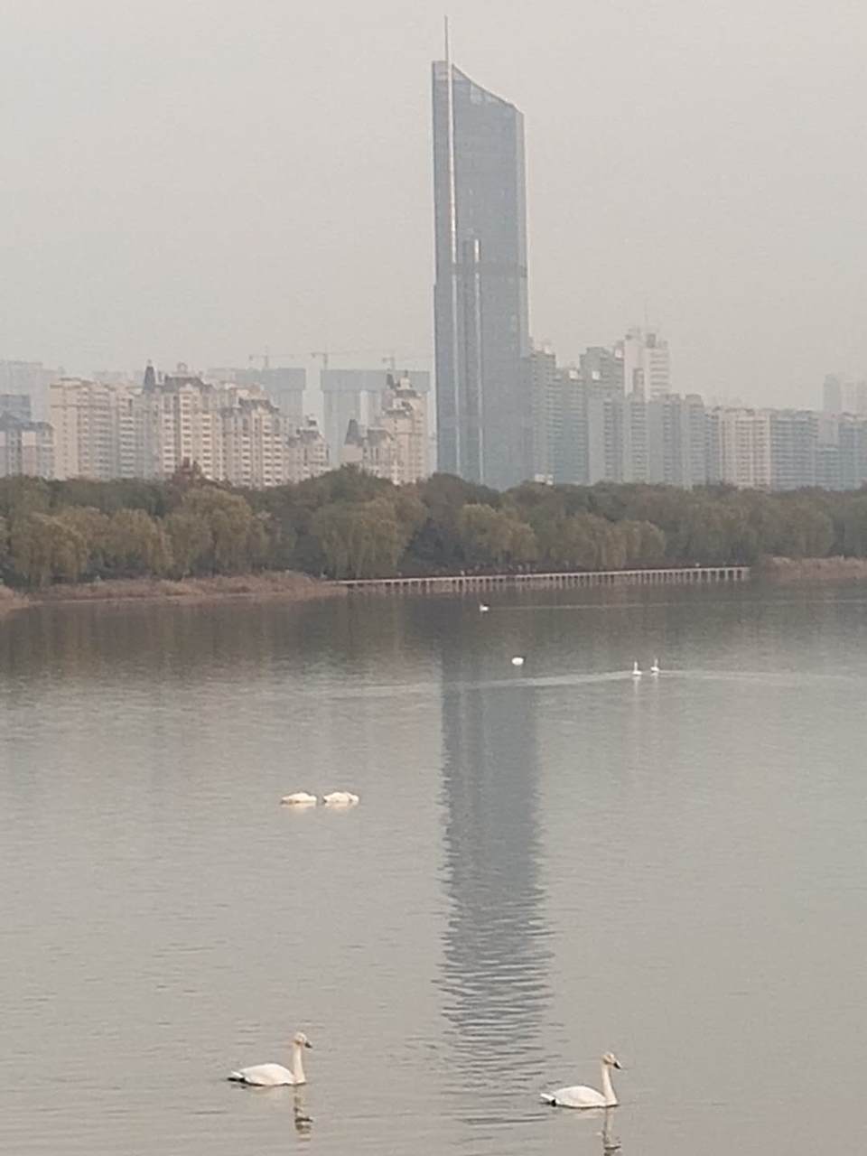 gY7h3Da0WfoH15zReKepGCSpm-FAT5vKd0NiQ5qeT4hpsC9N51KzrCKdhlpvFZc_