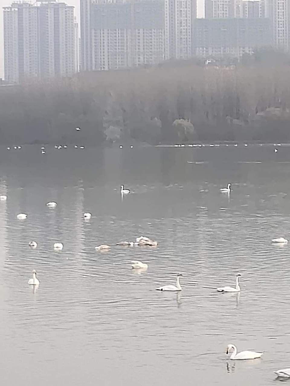 Cn55syp5ZZuhrkZkOzHJIeQuaMsiXIlVXOZlY1vDgkpJy4Ha1eDPI4z7TwY8HnzT