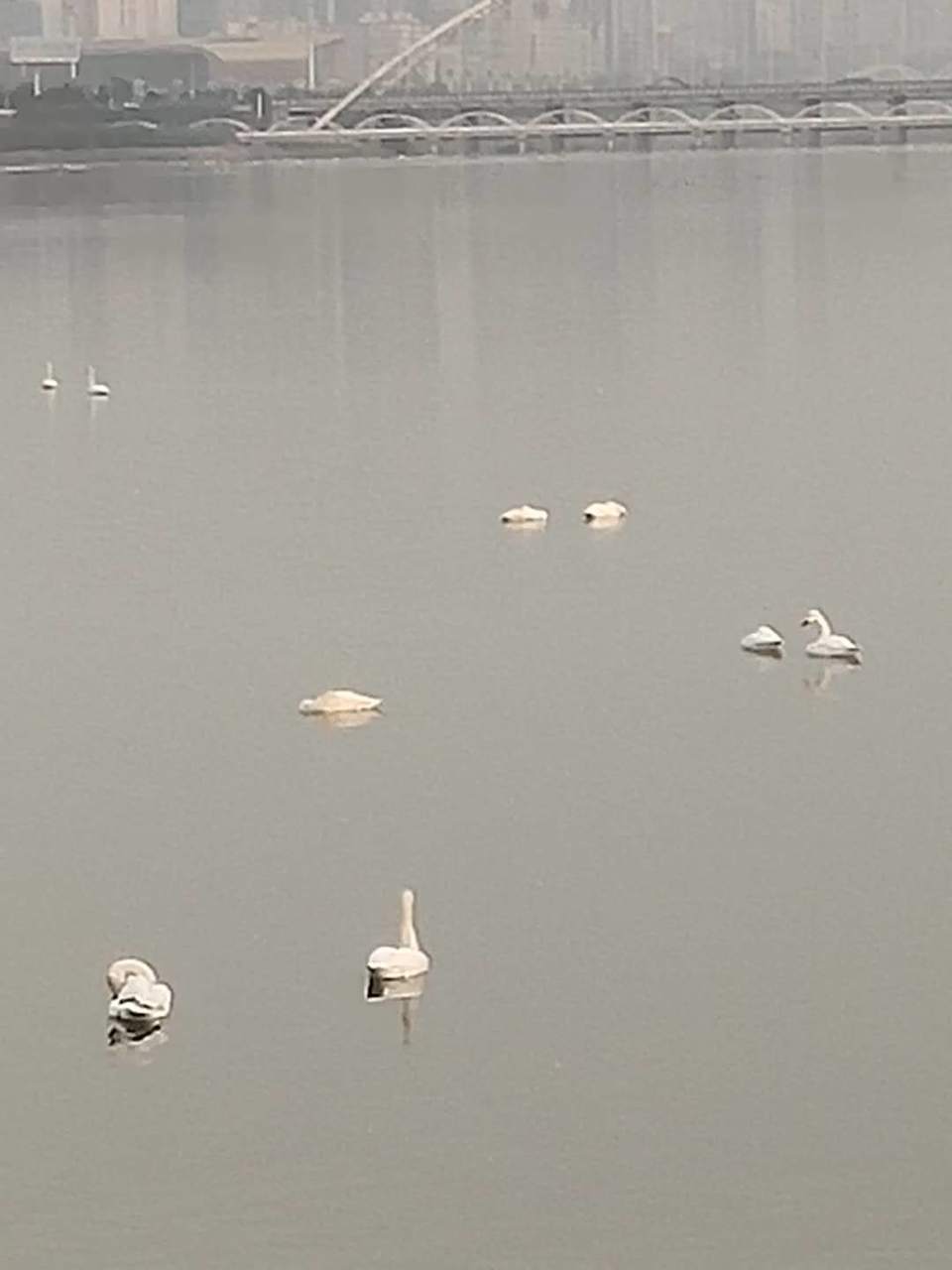 hECxx1QQN2EiHOc-KBKjbvPDUfHI6UbXLev18DtwaBAuVS4WSroYYXLAmnmF6ts5