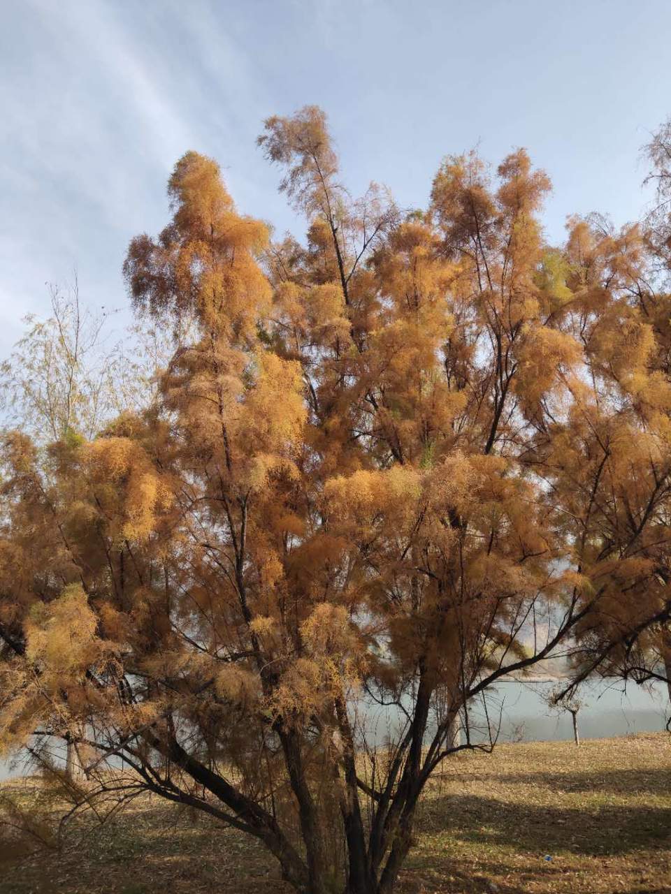 QANb_LJKtkmjQtPyhOeYPOZ1x8Oe4AVXUbudh8VuUFiEAhCR-px01VlKnDndxjcf