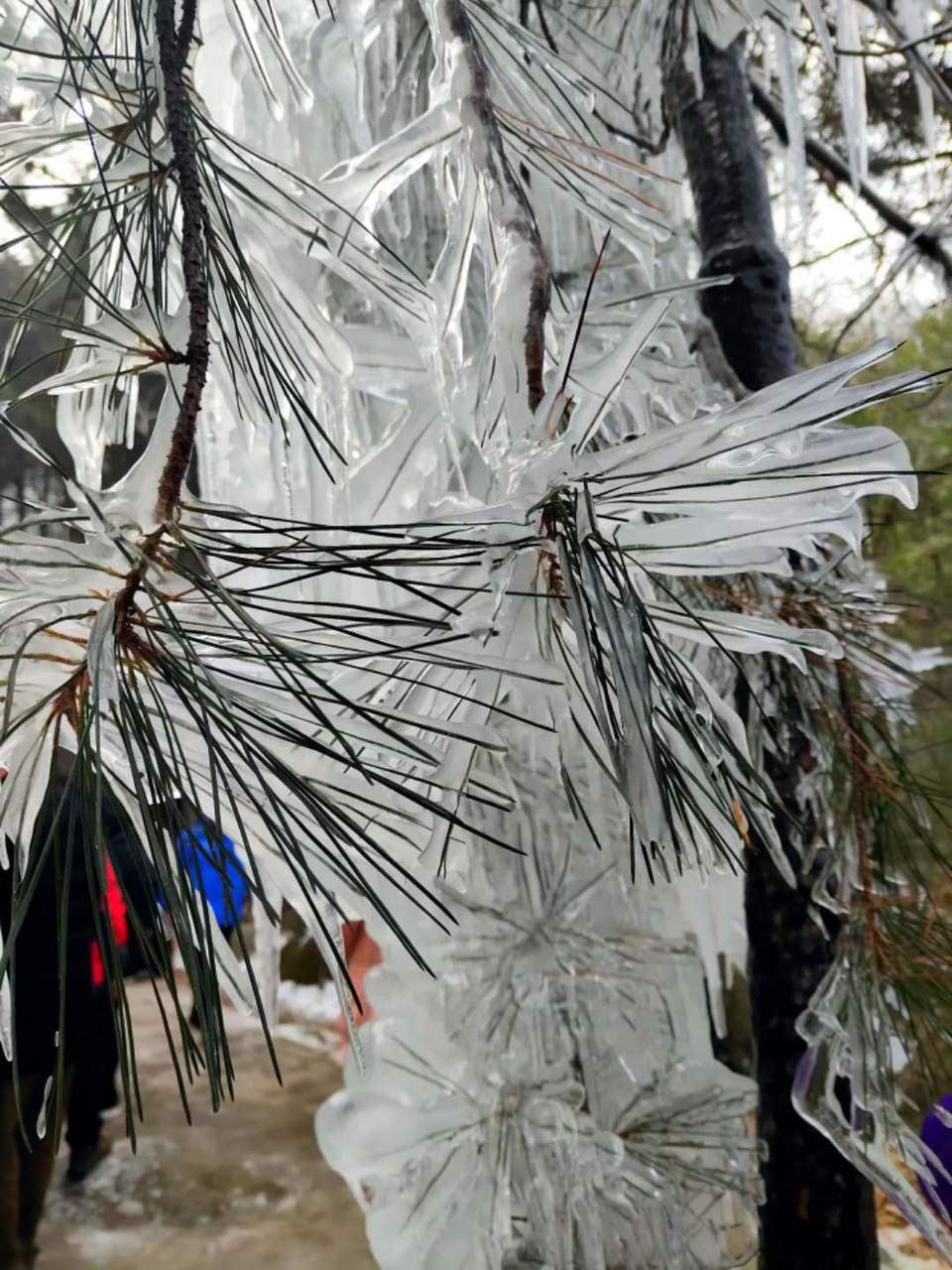 uyheZY9q6DdqvHlmUxKC2bK1JFB-TFvvig-2425UMwy940Y3GVDkd3IjiMAVOgnu