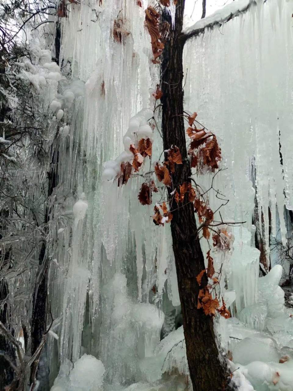 N-ckRF9lW5DJZHdrNjndTYs12n5GRJ4b1hV5HVAg3S4Ch_OOfIQQF7MblHinDawQ