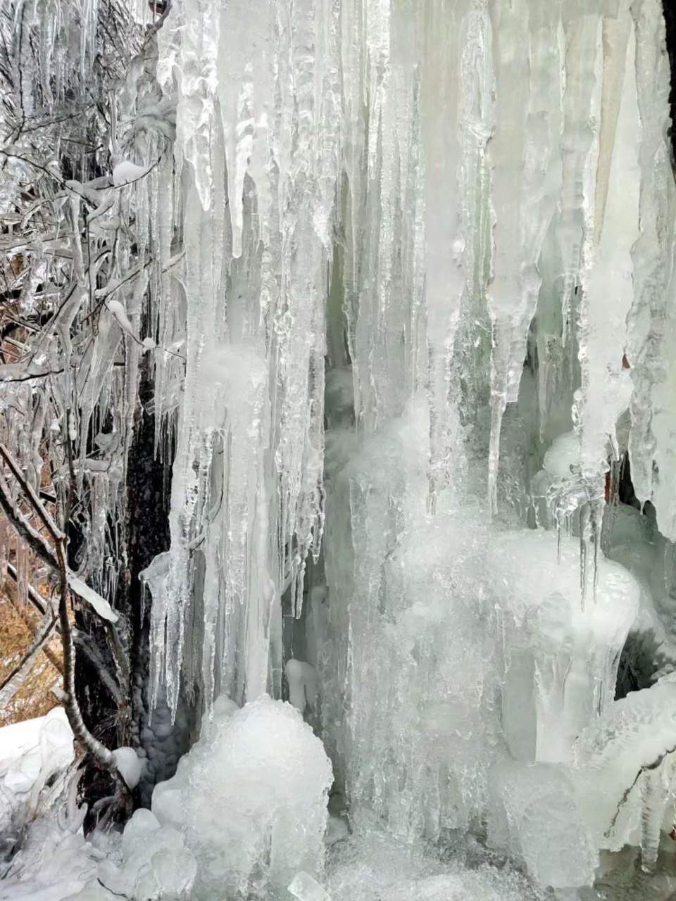 nwrgT9aZqbvoccTUspLFTE8iuCvusn967r4MjG98LdJAzoMIcd9MrLX6QiiJ6Vbv