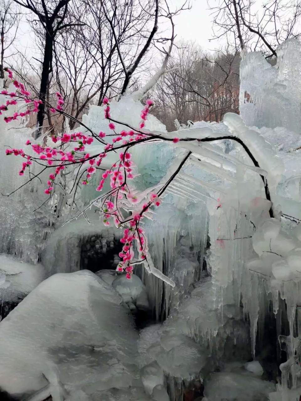 pz6Tjgd9znkGYyWqkPccxKjDqkeS2bDNdliBSOJ6PT6_xnl9Z8aUzeFYvgsa6IH-