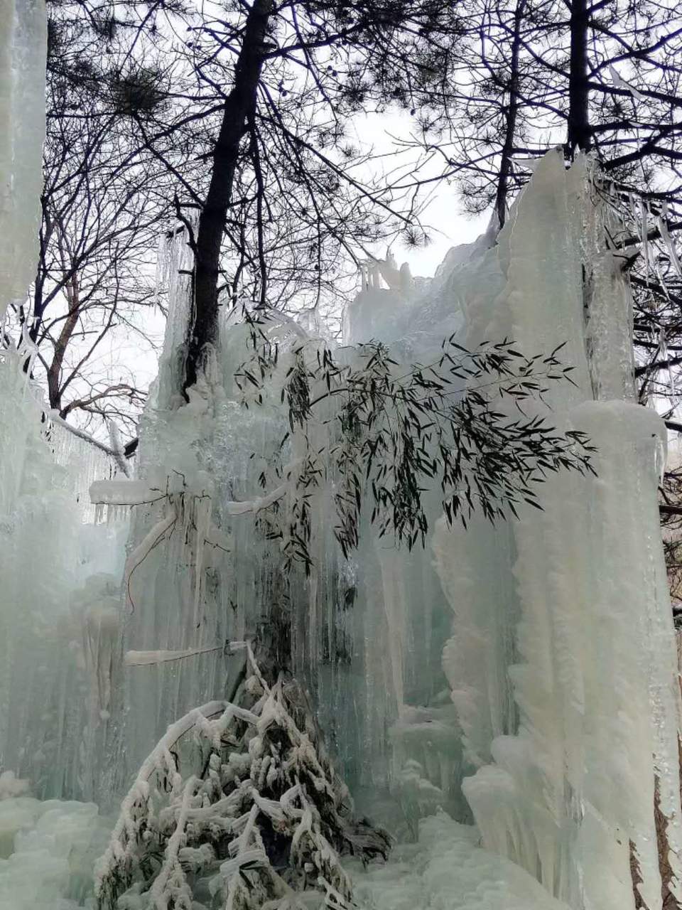 yqVqfMmURLfRD4wGAkFp_O5BjycwWZW3kKWxotwHGcpn-_1YVcRqeSt_tBaDf9DV