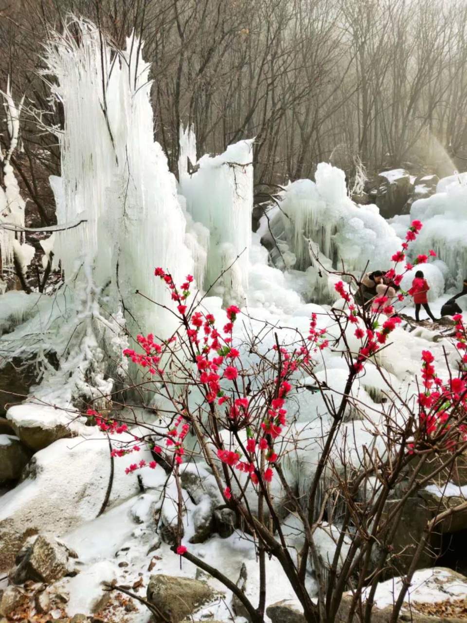 8-za5Wky3foyoyrcyQNuu9ohZkrCVatEbYEWt9kK3tibpw5tpNi7VrXuc-GvOKbd