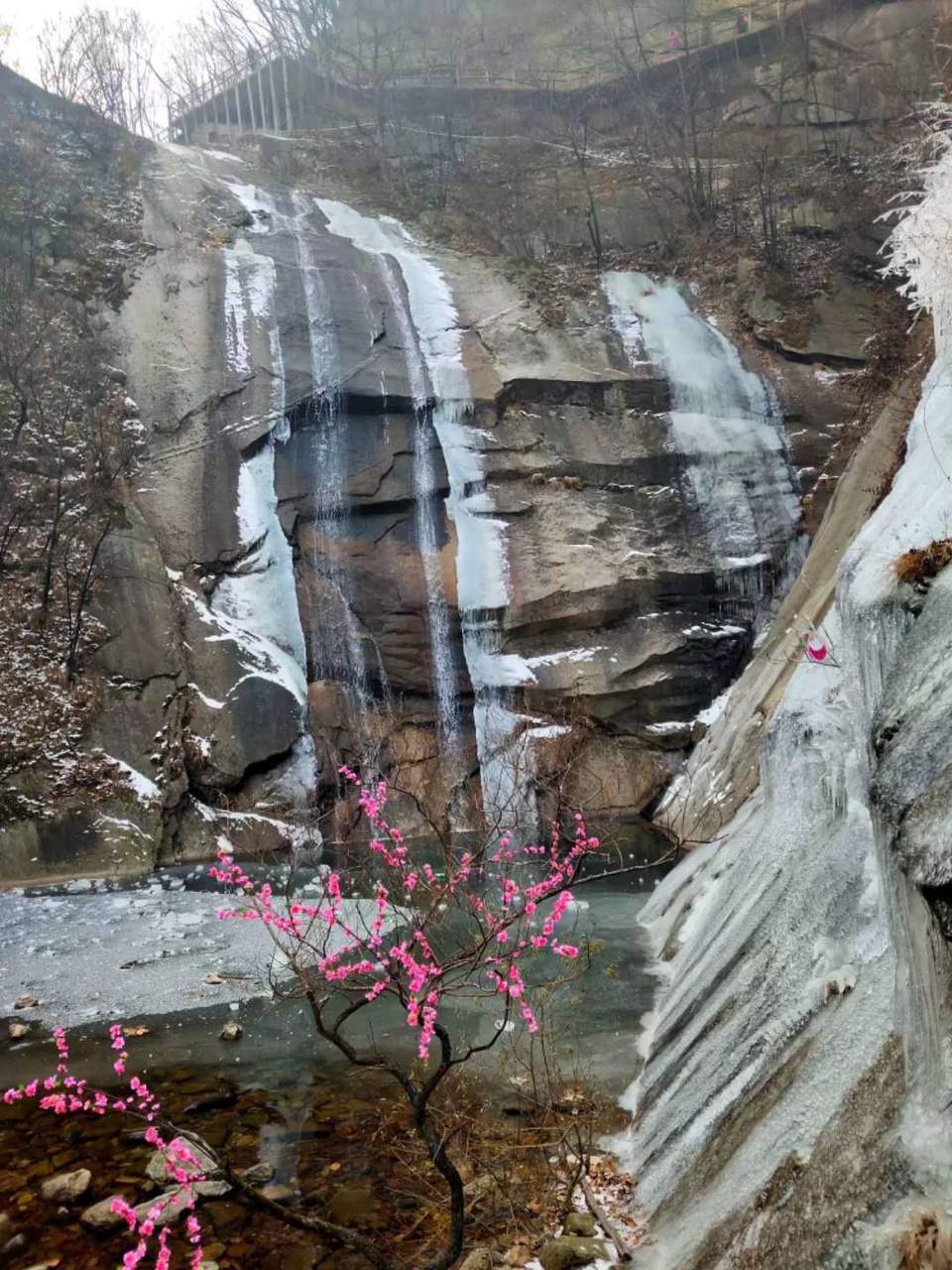 0rKuZwWVgv0EcvYLm5YUhwh7BNlWApky5oKep1q9l-dGyB6p-P6qWhk9YjSM5kla