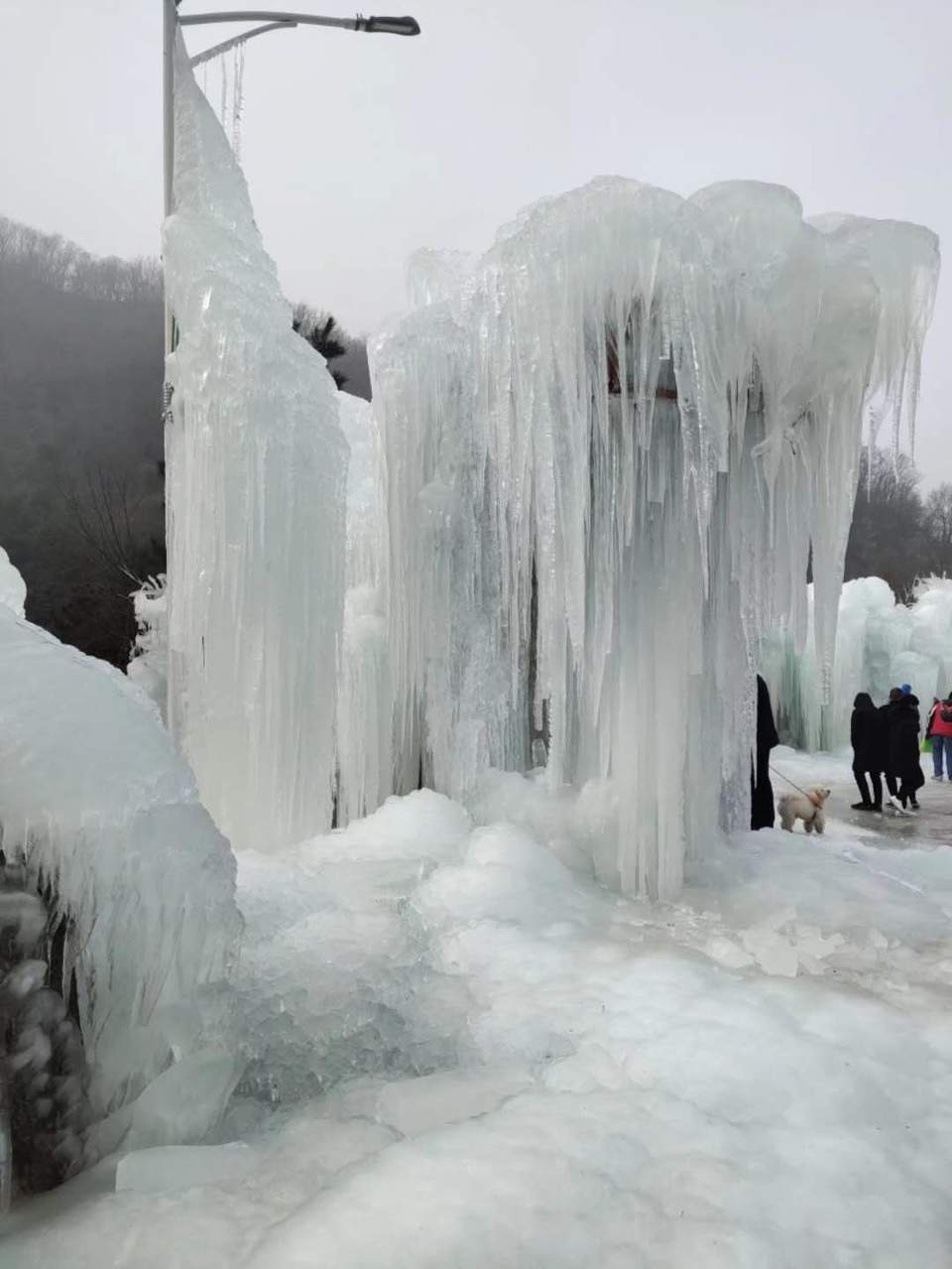 OWwpB7-64laex77Tt_V1EJ5zeRf4Qa6KNLmRT3YtuiWggsaft3L_CdMC9gfOGhon