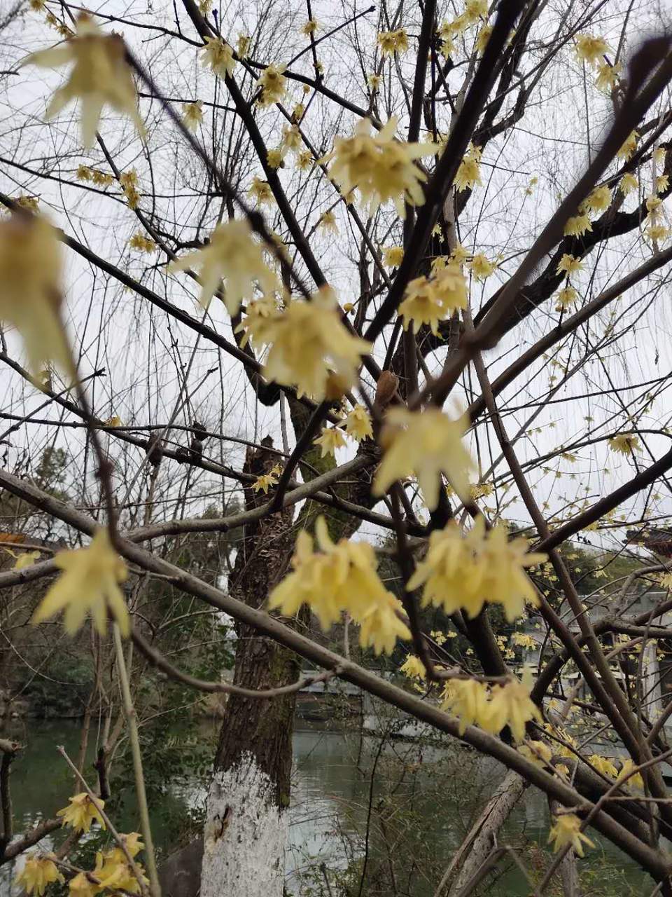 Y5PDYw1fbZPPmUFBYpkNHSxfwhUZ3RjQa2gh8SJRlM6Ng-2PO1IfRAeXLMNIGRov