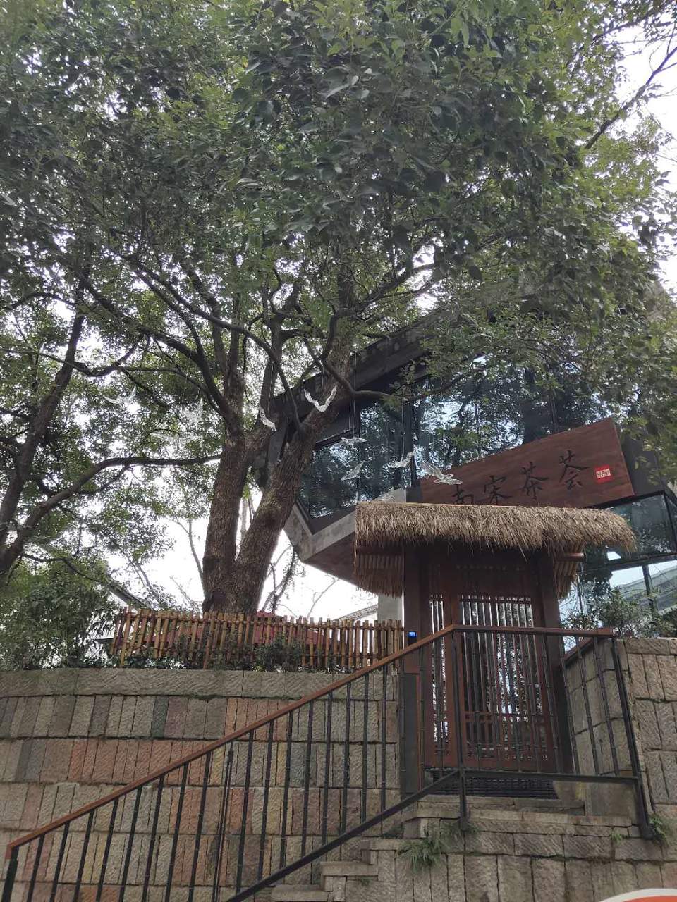 D6idQ4885XLTgPH3xZDoJrHHQhw1ORGFI06CqAM13tE75L6qSCqbaHvGh8XVqloz