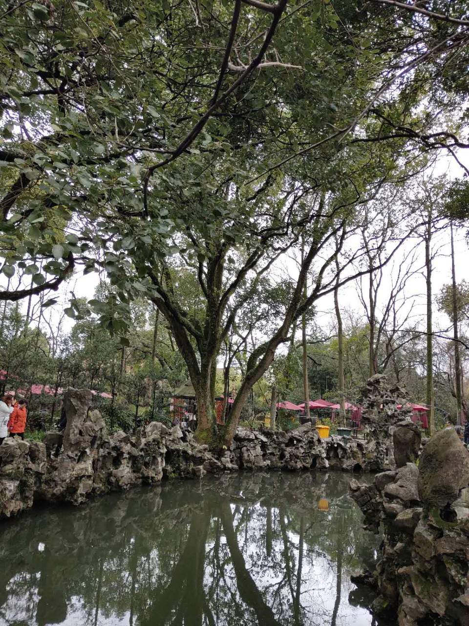 eeUCaOojba_b1K2LSQY5DUQqllQErjfNrL6OiFMvP1jg6eSzGhtzo-tONWVgE-Gn