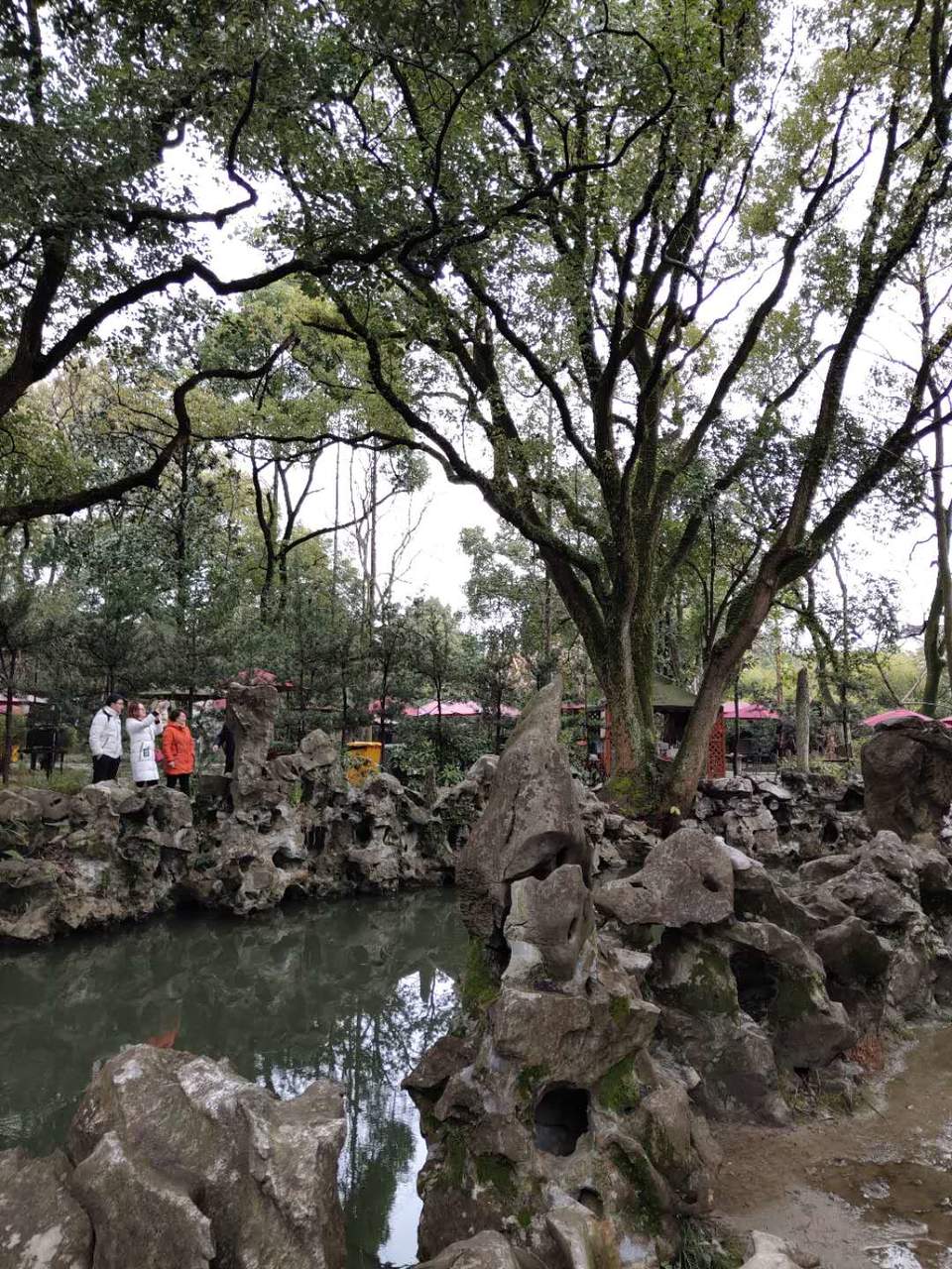 3elSMmrlMf0geziDwz_M2xP78KjJ9Gpl5v9FFrA9i13RRuH9C9sWMPTOBR-gnyjX