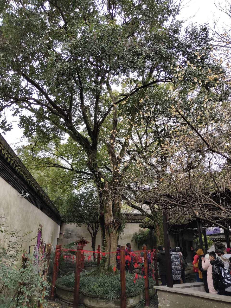 Q6Tv540_siHql4WPJz-VQpuna-lgefWKzRFcM_N-anRh9dTc02KslxHE-qp6sJhJ