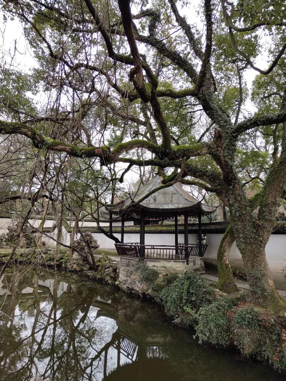 gOHmcq2lneWuPctMKenerTDwcUdnDwCTxBzSFjlo1FduhNpT5ZG7E1pGP_hkw86G