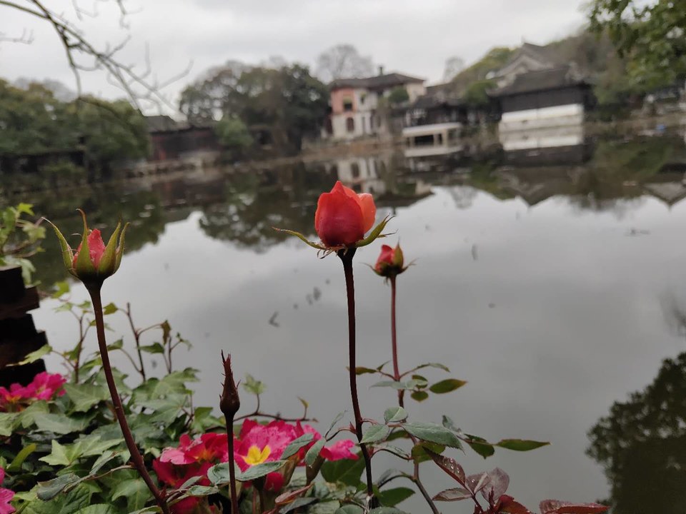 UeLUgWYC-sm54L9q2eEgd33fGtzjXECqU8DbyNsFSY0JMhTYNcyQuUQBIvyspSwT