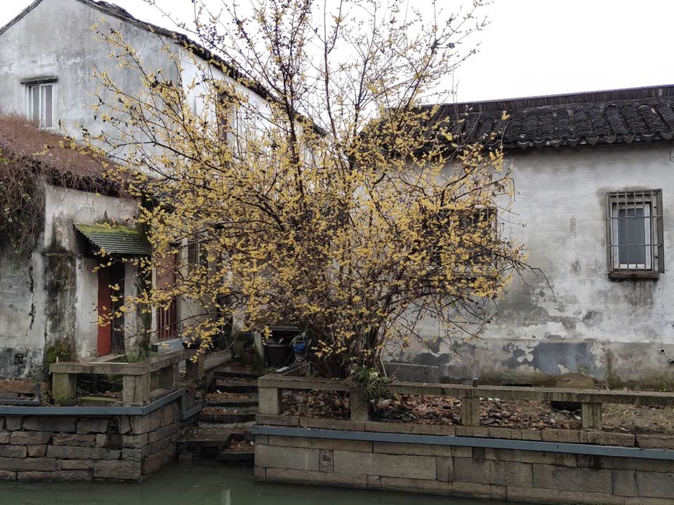 f5rR-AAU0Tz73kd2qe41Z1C8VZJEj3Sp7BRuDIfDB2DiDTyY4z5Upp2k72mW6ml9