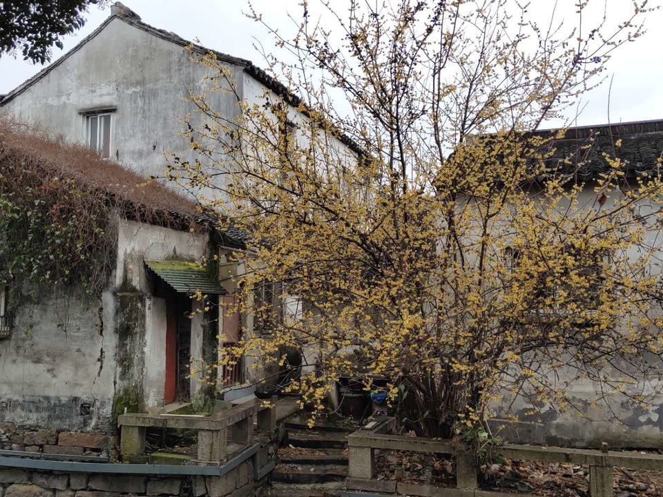 qL0sSFstLR6TWAisLwiycRJ9Mzp_OIn5MFT-1-M2stiUNTvlKRhnY1HjUqNBsscz