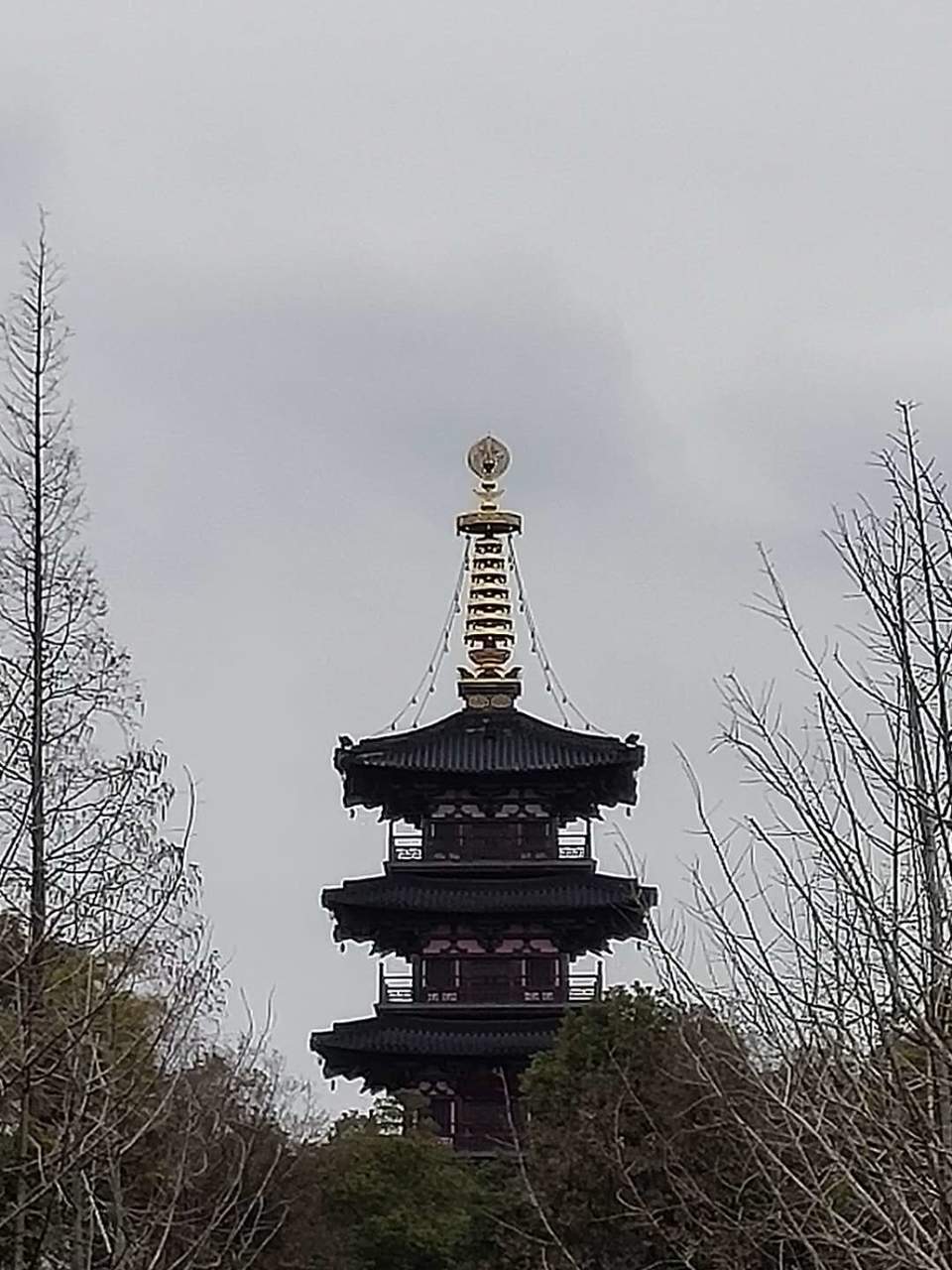 Wb2rZxlKAhFj7ETA94DEkiastxqXwfaEb2vvNNjzmV7ntY5QQTkWErFD6xlvkgCL