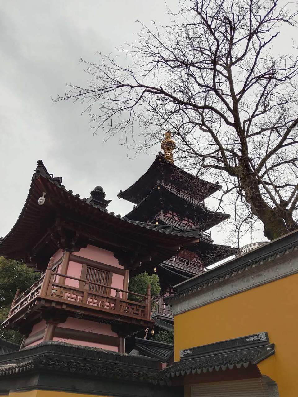 mPh1pebnwSTuT-2dE4NfBISFC0O1857BqVGK9SeFAG8ZzW2uw-JNz2cQ2OnFKyGv