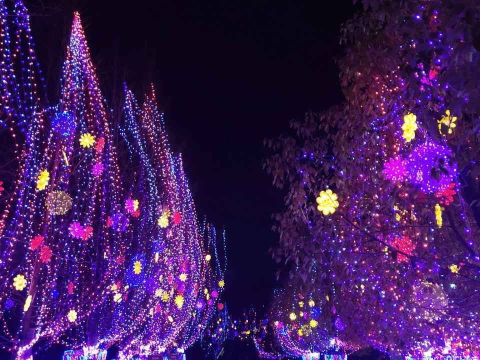 KEU5nMHZzl295zTHcNTJEyjm8GQdqlPipPBV4wMLaOG_-zlhCZtAVQh0WcCjo3kg