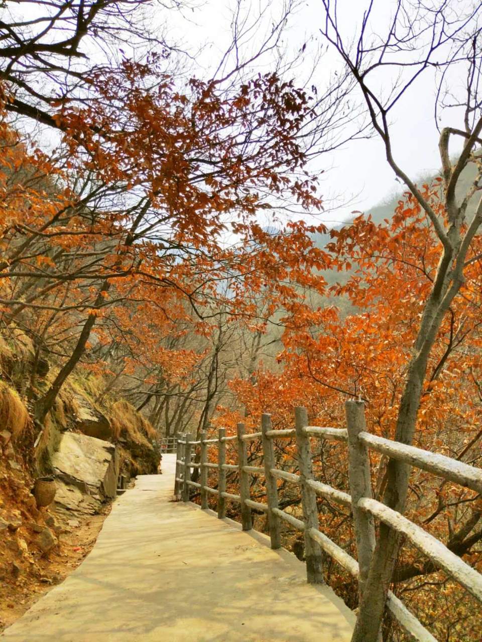 F0q5HaZfnJ-HognYSvOQY7uqN5XF3G2baf_0glv7iXt9PlSSuqei51_io6aIMTJm