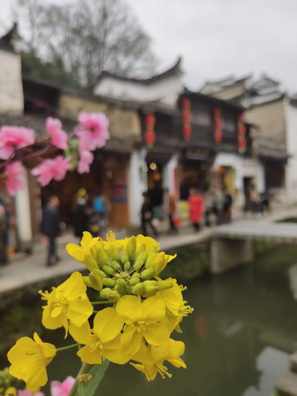 ogie6MaW_UN2NlhFeKZxdiF9vH6DsyeZDfUx7LsbQ_e2QiTkqBrp3HhRmRf1DLlZ