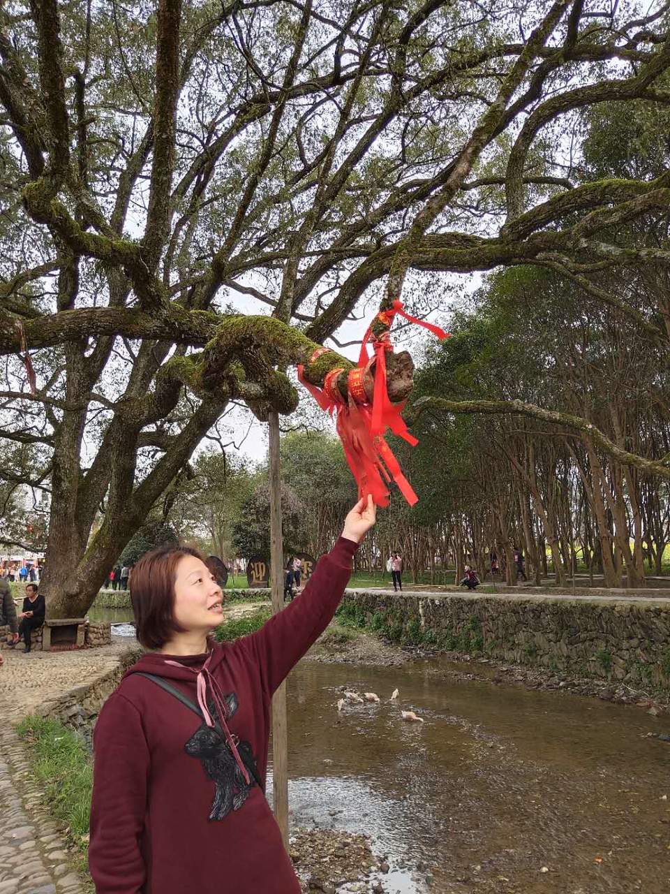 gRnXRfbf2_UQ6A7ISdmTTj2errGIjrEjkzP13MJv6XvUMT9GpIOTy5F9JAHc-6IW