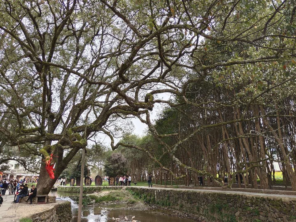 SX2wKIQ0KtoLaM4f85hJaumFY7dRFRaqwbG8XodwenGUlLvirfSMJAG3F9zR24P3