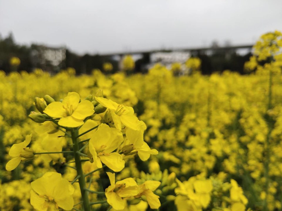 hnwbAHAVNXkq57psTTm59TwfTr6Oh18cu05q0cyN-AcTqb4mFSIdYoO_-DEkLij_