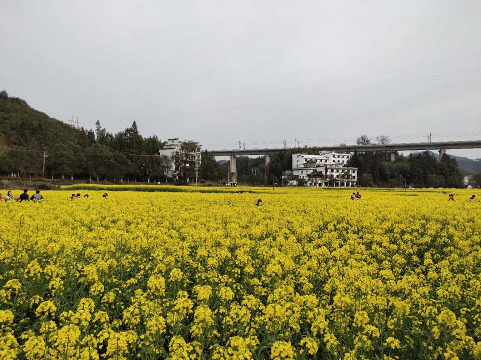 IgmeK4gJ7yHpgjzqPnik5axamZx8J-A1bAm5Jg8fjajuNsk58vgxj7s4dn_fW4PL