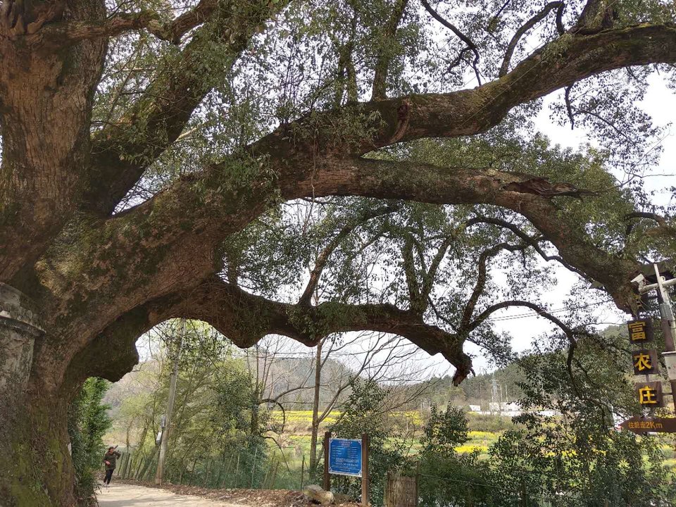 TkdkF2eAqpnqfUnKVSNBJF8lz1VNJS_kZCTBQmR_lHj7b41dSSWvypZlKPIsHi4U