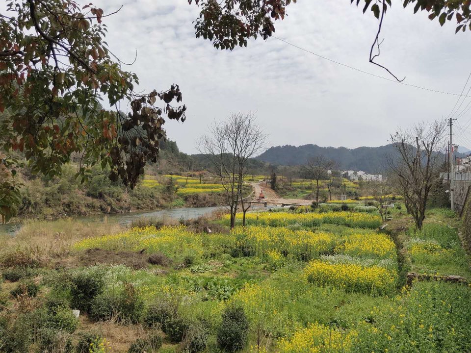 JPhqqUTSlG4S1ujt0cPhty_aSrXgJzmWe1GBhC-5krpIeyfpGZyI2wY43iyPOV1o