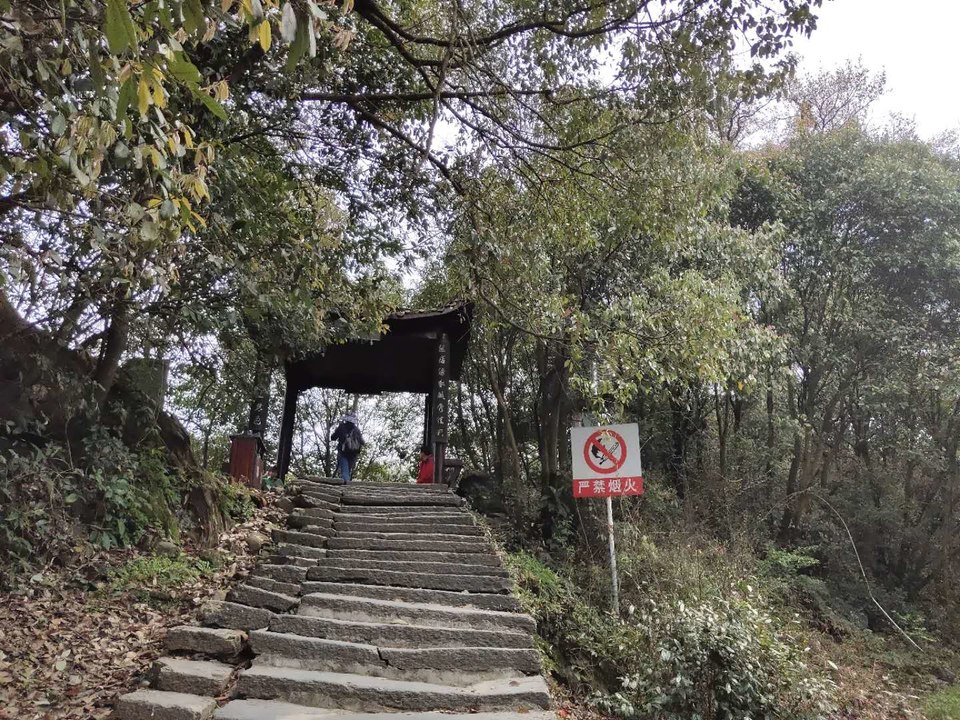 A6wkHXNATiQ5aOnTeZFW2MDXic20NMvWmHUQSXjBR6KC8LYYDLdE9O0KlcxOdobe