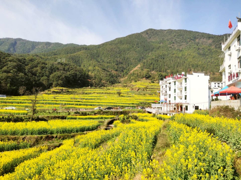 Cxy9EfIzix7G268Cu_a5F-aBCffCFzDwewMlCq_267ZhGvVVkpyG--r3fVdHhMck