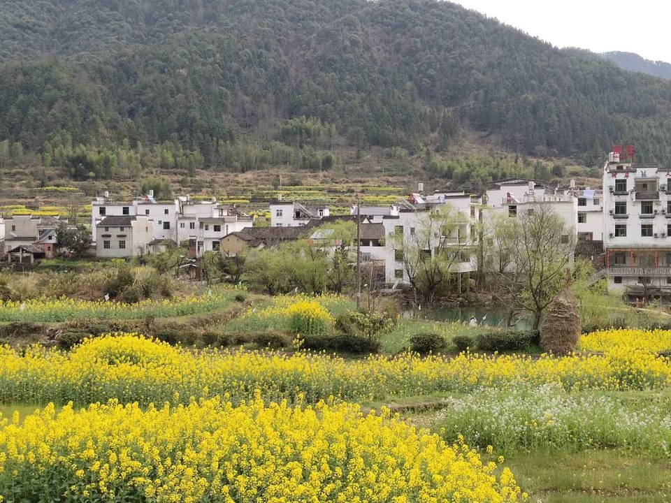 5fkJsILb3jzXsq-rgSUh-y-5P_CYNJ8LNBlYo6CHm8P284eGLcDYfkB0I6v8lFAy