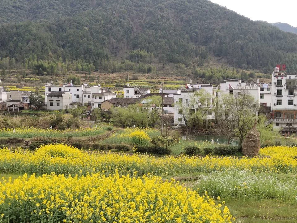 tG7gF0Uc7yuUL8TXE8D-DhdUE_o0pPophVQitGJxP5Gu6ioJzv5CQ5RUgHFQCA6l