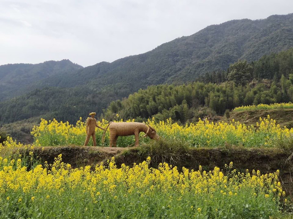 3VtdhTO5sGhOkEXe9Pv2VTG1JLSxIiVgqYC9VjZ0-b11jhD4eOGbZ1p4zofFVlAX