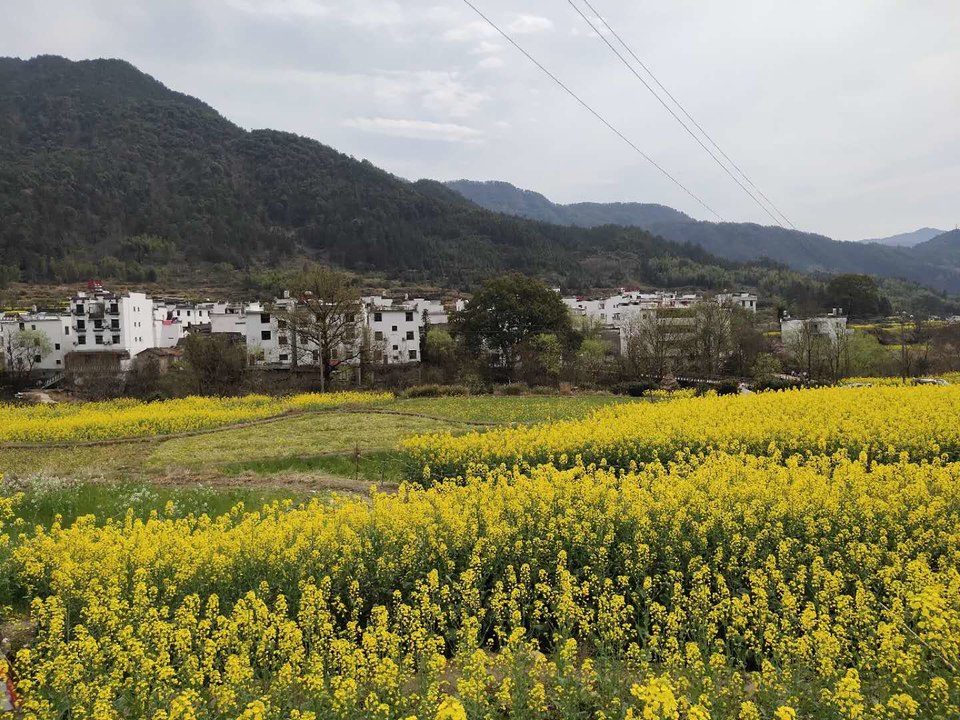 7P6ZOZYzaEyQ2oyclS_Y9sfPSBdTL8IYXuegAvec-ZxWSJ4sSBs4jU33qUtY__lt