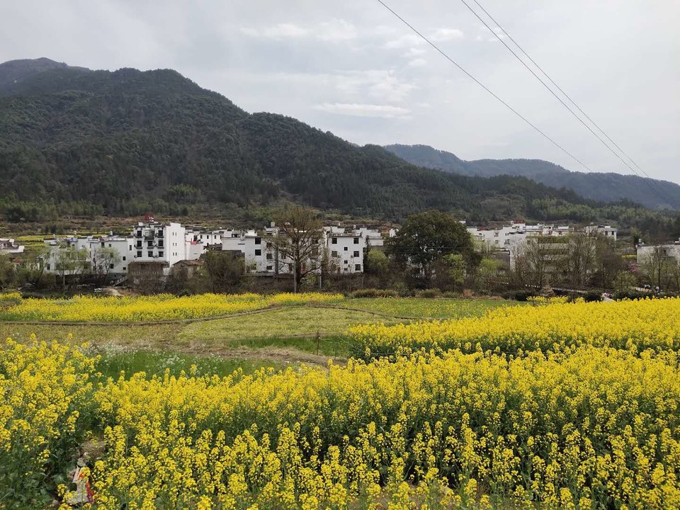 gn-VyxZFAEqEbXAj59fAvL-t0MAxoF5CLBJHMeuwWniLrkmt2FsHCN_RkzJnLDfu